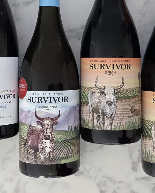Survivor wines 