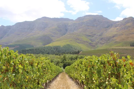 Kleinood Tamboerskloof 