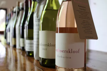 Kleinood Tamboerskloof 