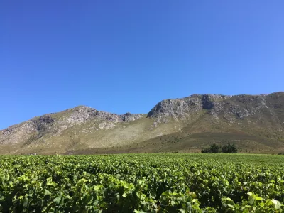 Kruger Family wines 