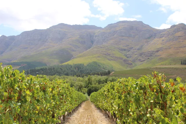 Kleinood Tamboerskloof 
